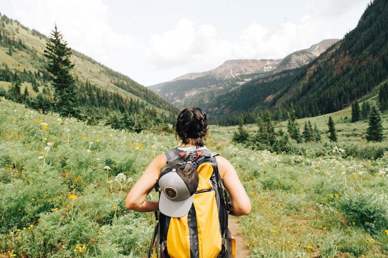 Hiker in mountain valley